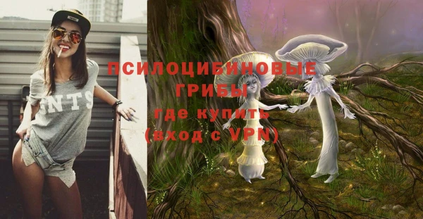 ALPHA PVP Бронницы