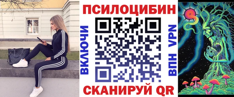 Галлюциногенные грибы Psilocybine cubensis  Купить где  Севск 
